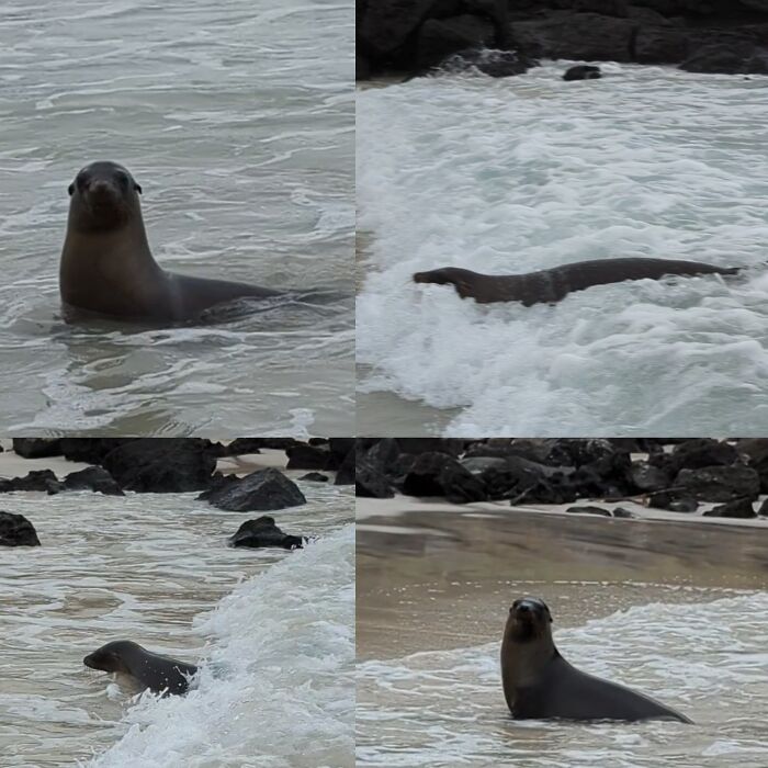 San Cristóbal, Galapagos, Ecuador. Mydude Was Bodysurfing, And Kept Checking To Make Sure I Was Paying Attention.
