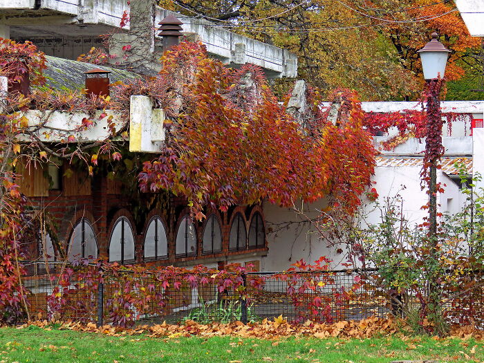 Abandoned Restaurant On The River Island Ada - Belgrade