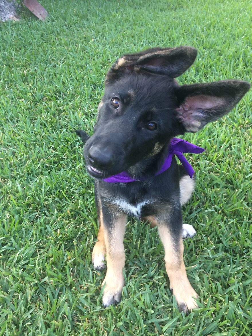 Sharonjoyce In Her Awkward Ear Phase 😂