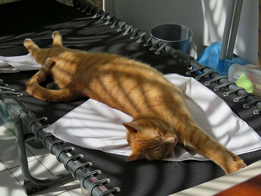 I Thought It Was My Sun Lounger, My Mistake....😂