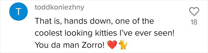 This Cat Became Popular On The Internet For Looking Like Zorro, Gets A Kitten Named Bandit That Looks Exactly Like Him This Cat Became Popular On The Internet For Looking Like Zorro, Gets A Kitten Named Bandit That Looks Exactly Like Him