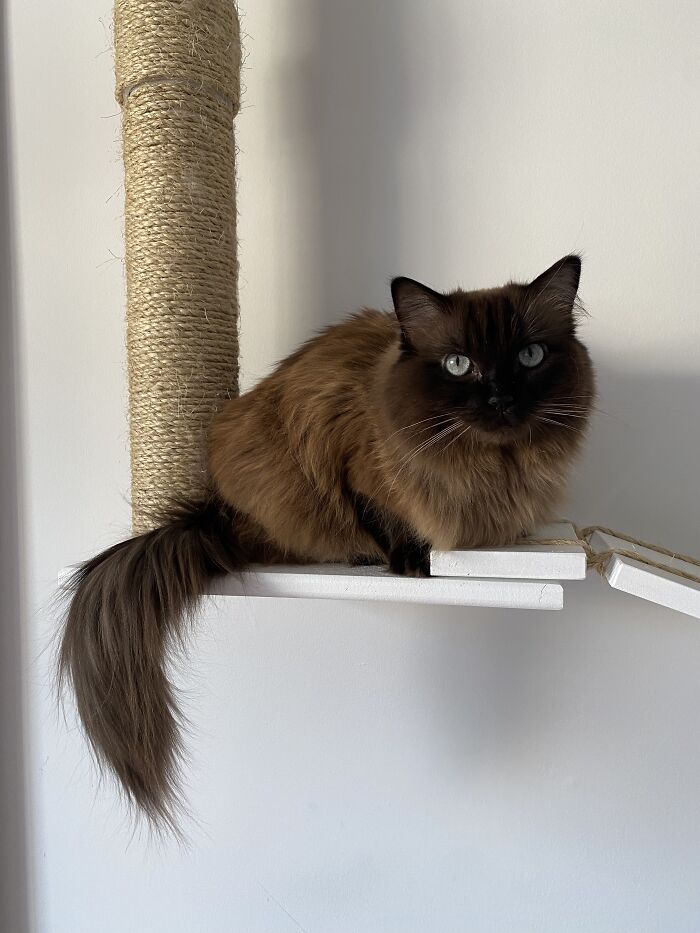 Woman Saves Almost $30K By Taking Care Of People's Cats While Traveling Woman Saves Almost $30K By Taking Care Of People's Cats While Traveling