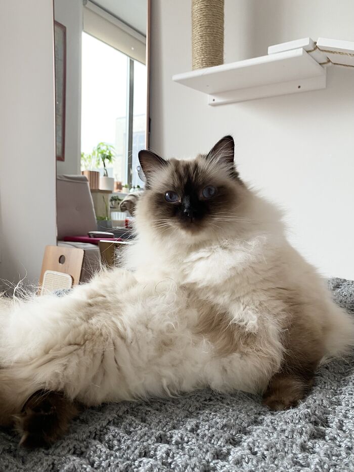 Woman Saves Almost $30K By Taking Care Of People's Cats While Traveling Woman Saves Almost $30K By Taking Care Of People's Cats While Traveling