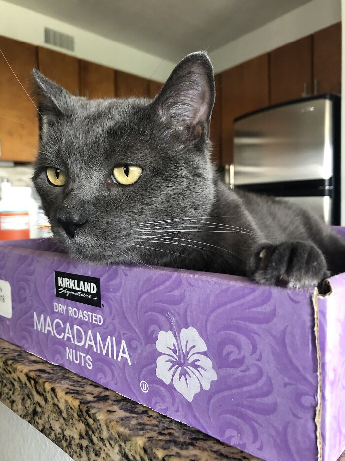 Woman Saves Almost $30K By Taking Care Of People's Cats While Traveling Woman Saves Almost $30K By Taking Care Of People's Cats While Traveling