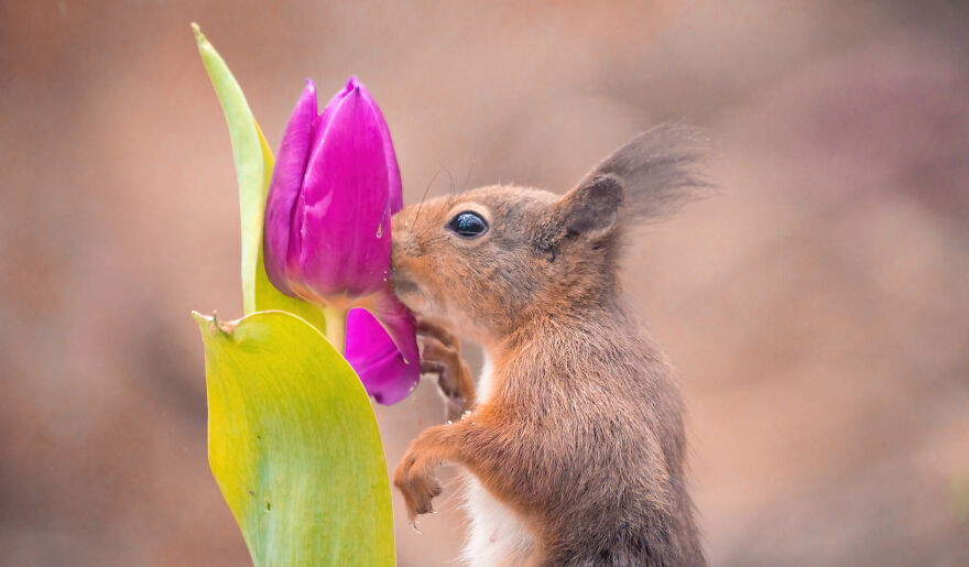 I Worked Together With A Talented Belgian Flower Artist And These Are My 15 Best Shots