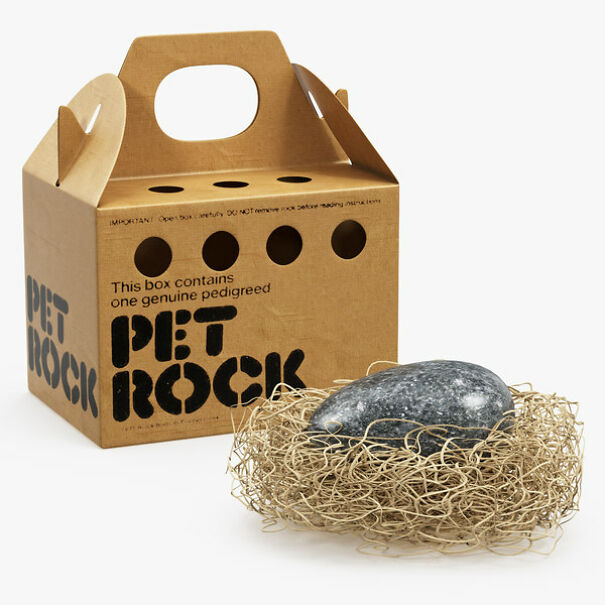 PET-ROCK-62d6d91ab0a4b.jpg