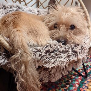 mariaamarquez avatar