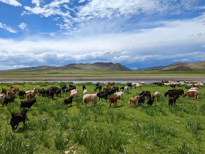 Big Open Spaces Traveling Through Mongolia