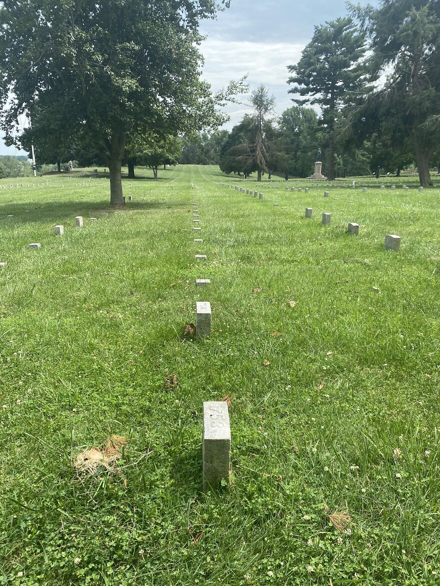 Rows Of Graves Fredericksburg Battlefield Cemetery, Virginia
