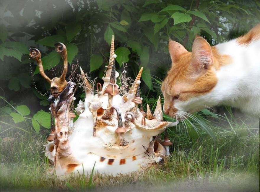 Google! (The Cat's Name) Please Stop Sniffing This Steamslug's Butt!