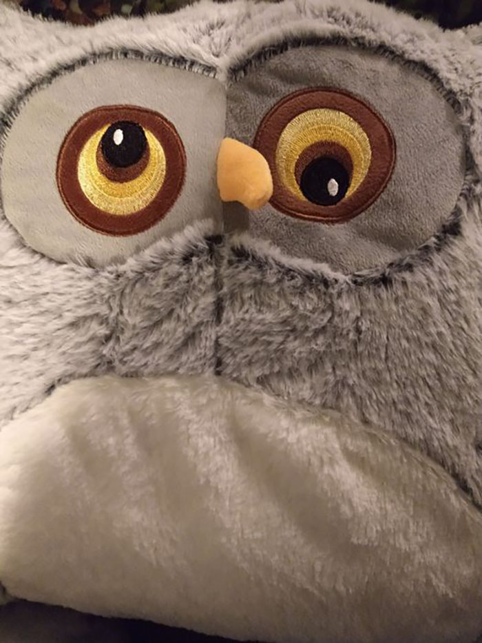 This slightly dizzy owl pillow for €7.99.  It's a production error, but I personally feel like they should make them that way.