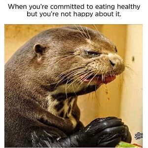 rebeccabergstrom avatar