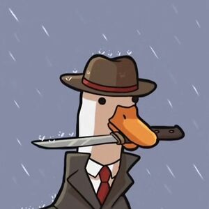 positivlywolf avatar