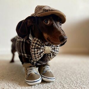 mayajohnson_1 avatar