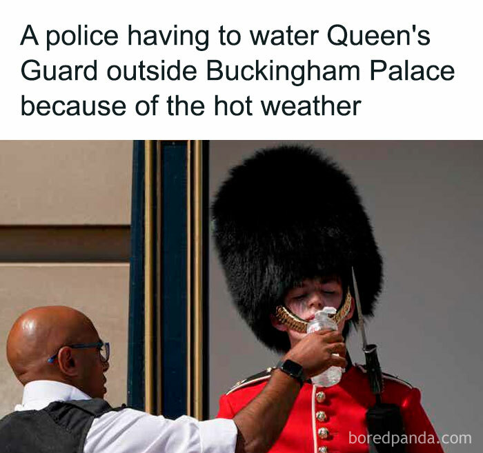 A Police Having To Water Queen's Guard Outside Buckingham Palace Because Of The Hot Weather