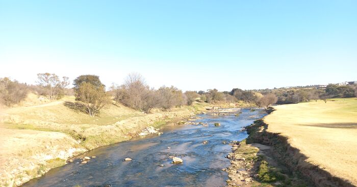 Hey Pandas, Edit This Picture