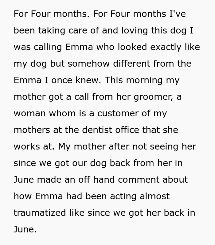 "Mentally, She Was Not There": Person Gets Their Dog Back From The Groomer, Realizes It’s Acting Weird But Keeps Living With It For Four Months Until The Truth Comes Out