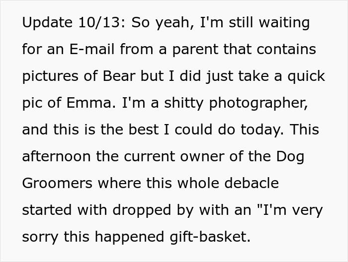 "Mentally, She Was Not There": Person Gets Their Dog Back From The Groomer, Realizes It’s Acting Weird But Keeps Living With It For Four Months Until The Truth Comes Out