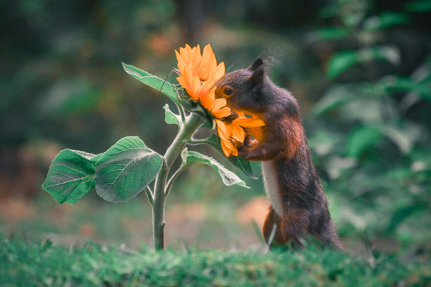 I Worked Together With A Talented Belgian Flower Artist And These Are My 15 Best Shots