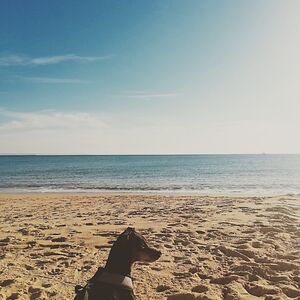 ritacastro1991 avatar