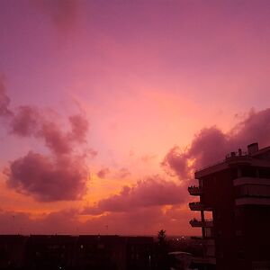 iacomi-veronica-pt avatar