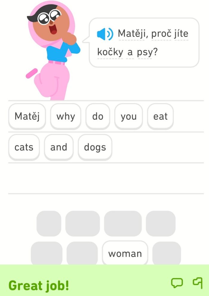 Learning Czech On Duolingo