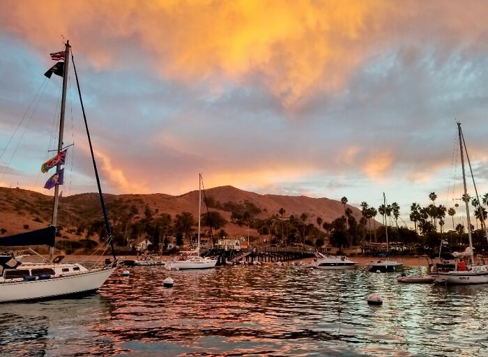 Catalina Island, Autumn 2021.