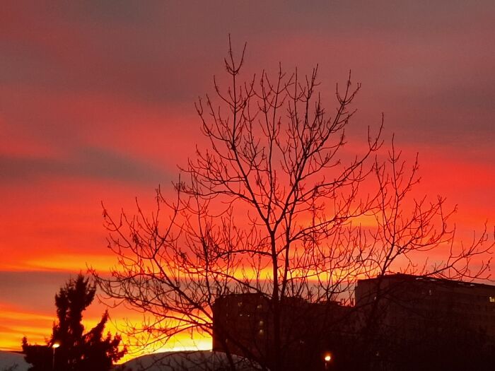 The Final Sunset Of 2021, Prague, Czech Republic