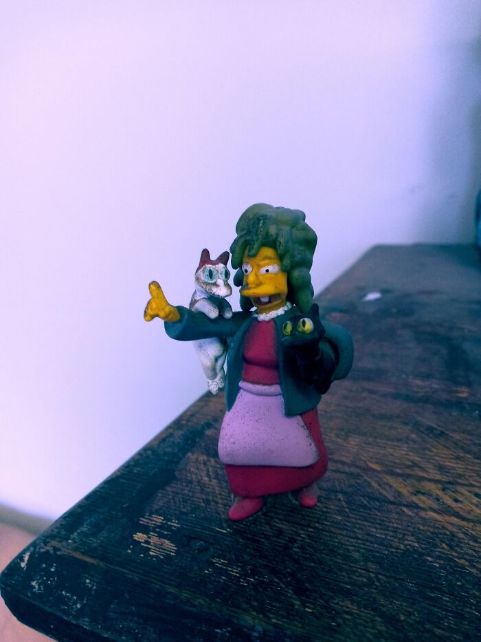 Crazy Cat Lady From The Simpsons...