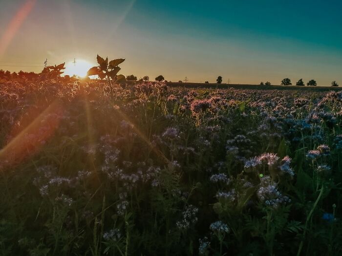 Sunset In South Germany