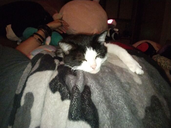 Somebody Stuck This Precious Baby In The Donation Bin Of A Church Shop A Friend Volunteers At.