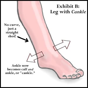 cankle-illustration-62cd6191ca148.jpg