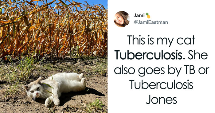 40 Of The Most Bonkers Pet Names, As Shared By Their Owners In This Now-Viral Twitter Thread