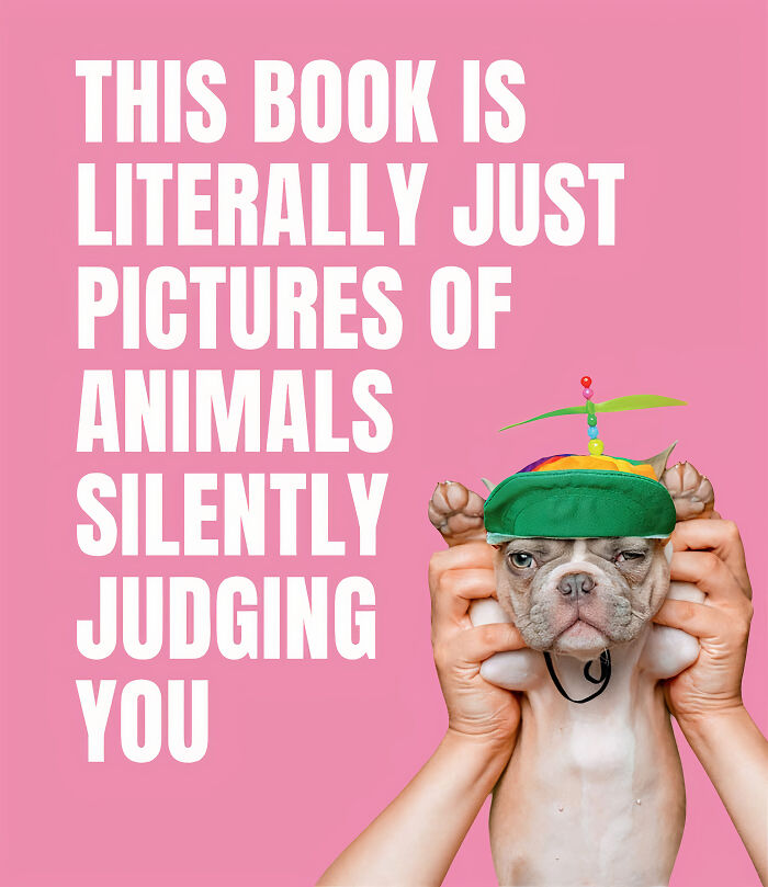 Book cover for "This Book Is Literally Just Pictures Of Animals Silently Judging You"