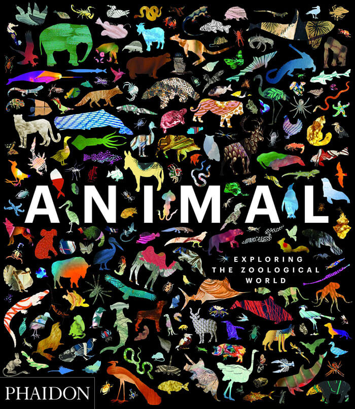 Book cover for "Animal: Exploring The Zoological World" 