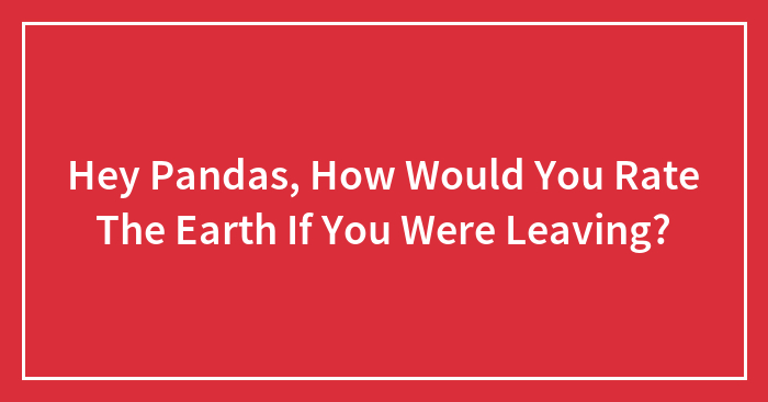 Hey Pandas, How Would You Rate The Earth If You Were Leaving? (Closed)