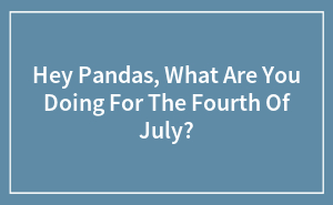 Hey Pandas, What Are You Doing For The Fourth Of July?