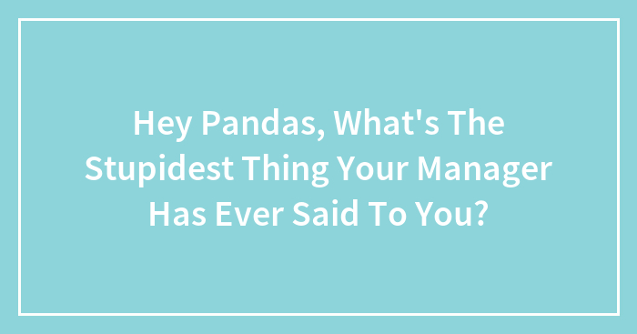 Hey Pandas, What’s The Stupidest Thing Your Manager Has Ever Said To You? (Closed)