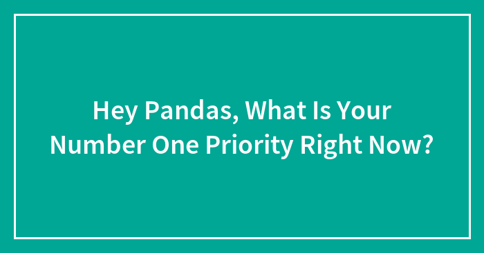 Hey Pandas, What Is Your Number One Priority Right Now? (Closed)