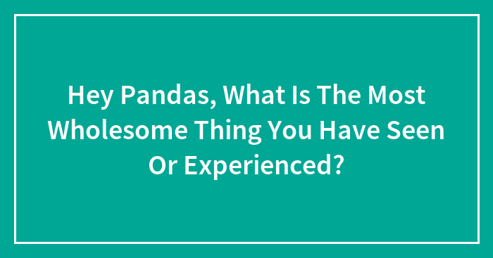 Hey Pandas, What Is The Most Wholesome Thing You Have Seen Or Experienced? (Closed)