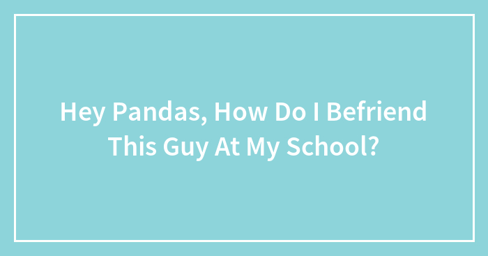 Hey Pandas, How Do I Befriend This Guy At My School? (Closed)
