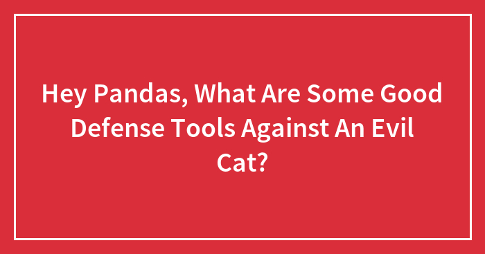 Hey Pandas, What Are Some Good Defense Tools Against An Evil Cat? (Closed)