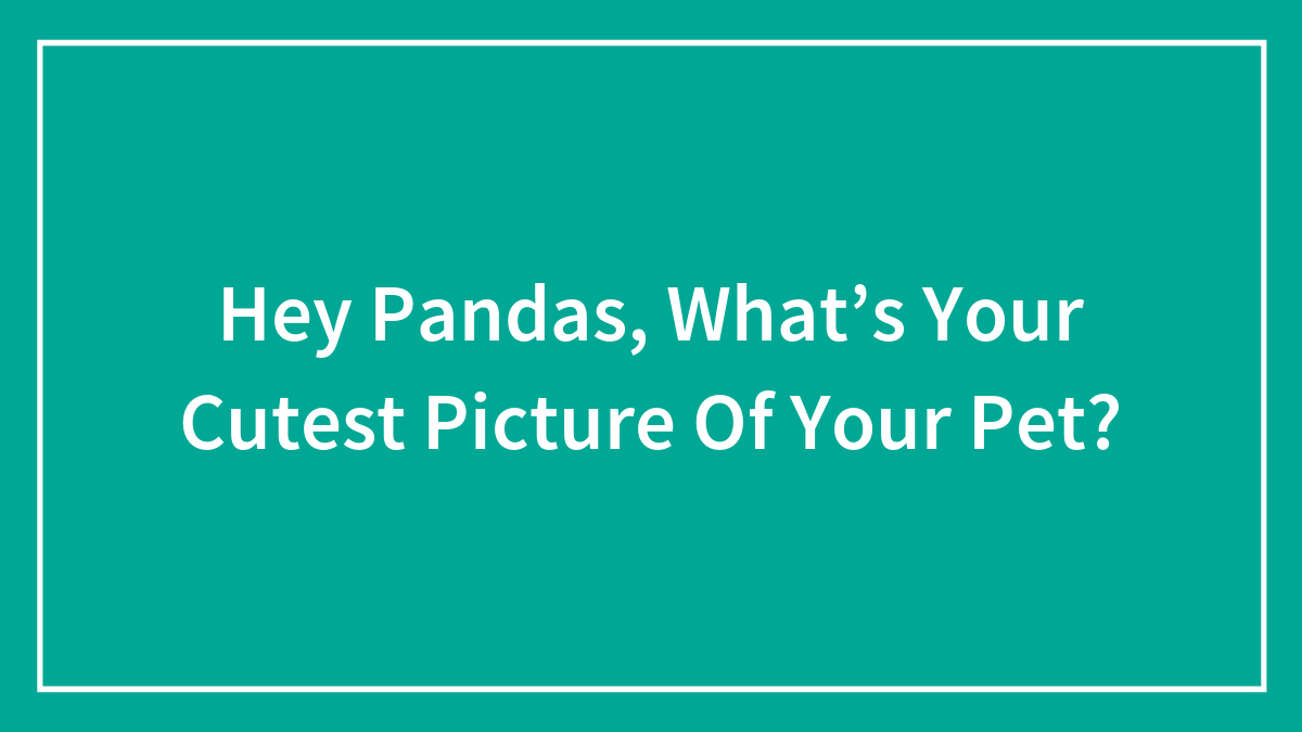 Hey Pandas, What’s Your Cutest Picture Of Your Pet?