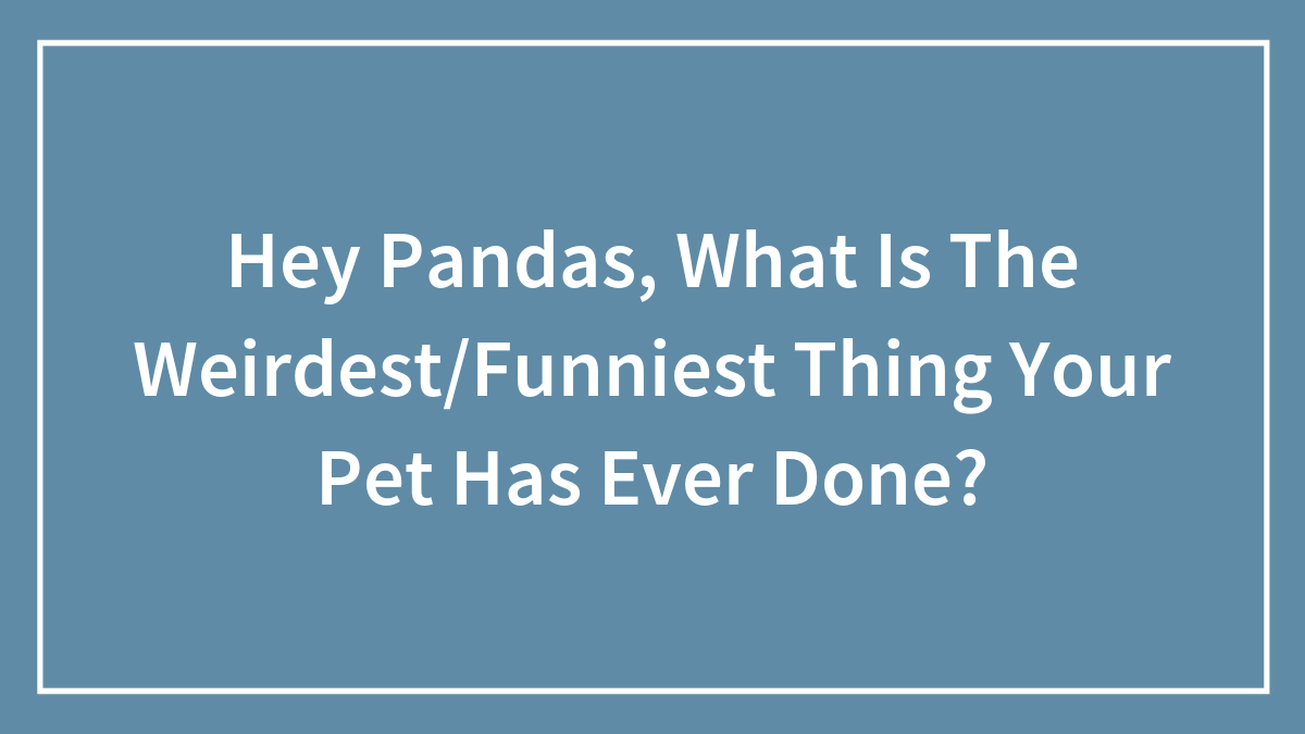 Hey Pandas, What Is The Weirdest/Funniest Thing Your Pet Has Ever Done?
