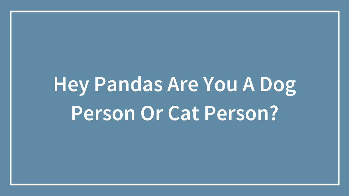 Hey Pandas Are You A Dog Person Or Cat Person?