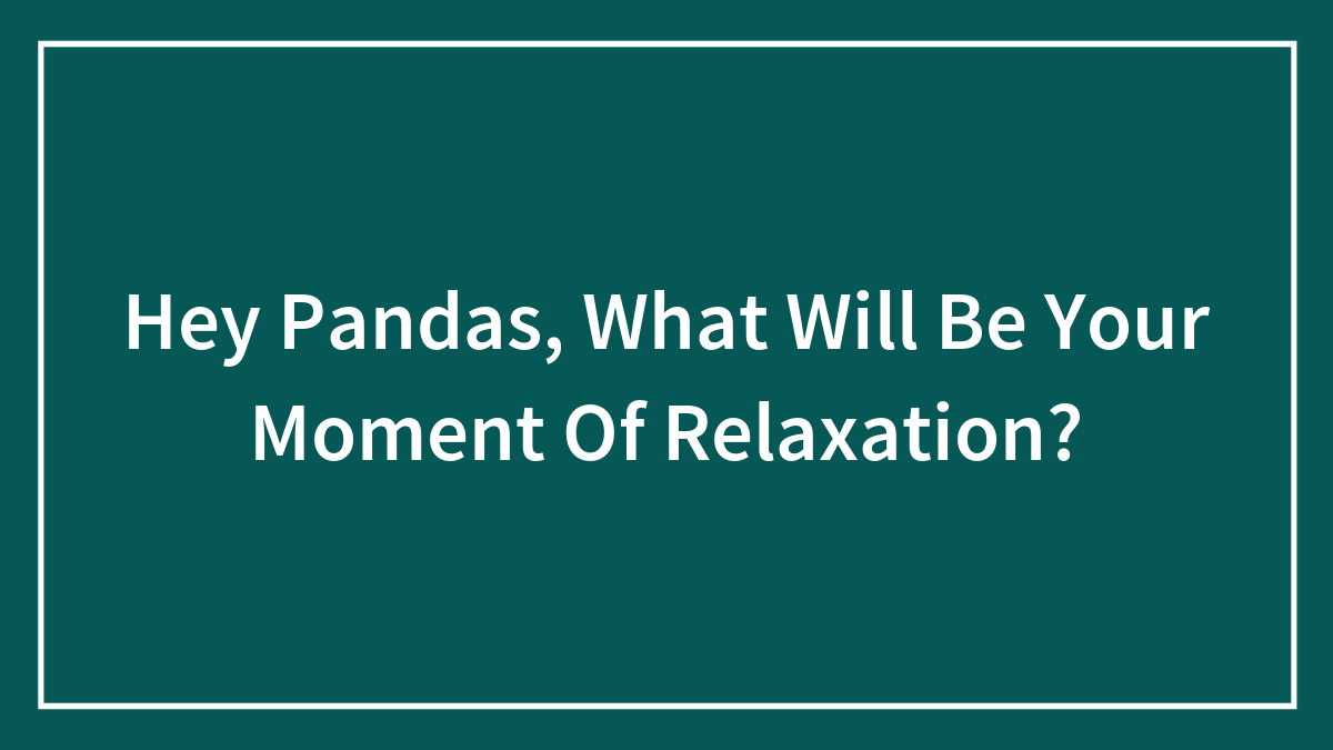 Hey Pandas, What Will Be Your Moment Of Relaxation?