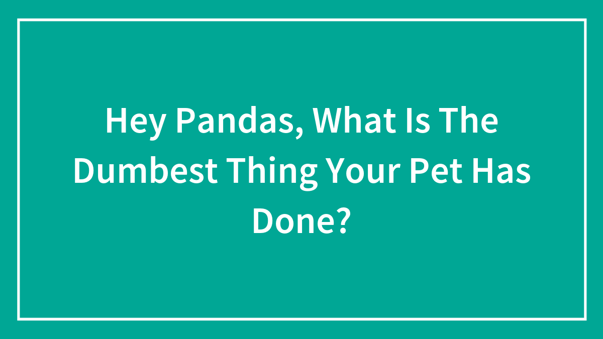 Hey Pandas, What Is The Dumbest Thing Your Pet Has Done? (Closed)