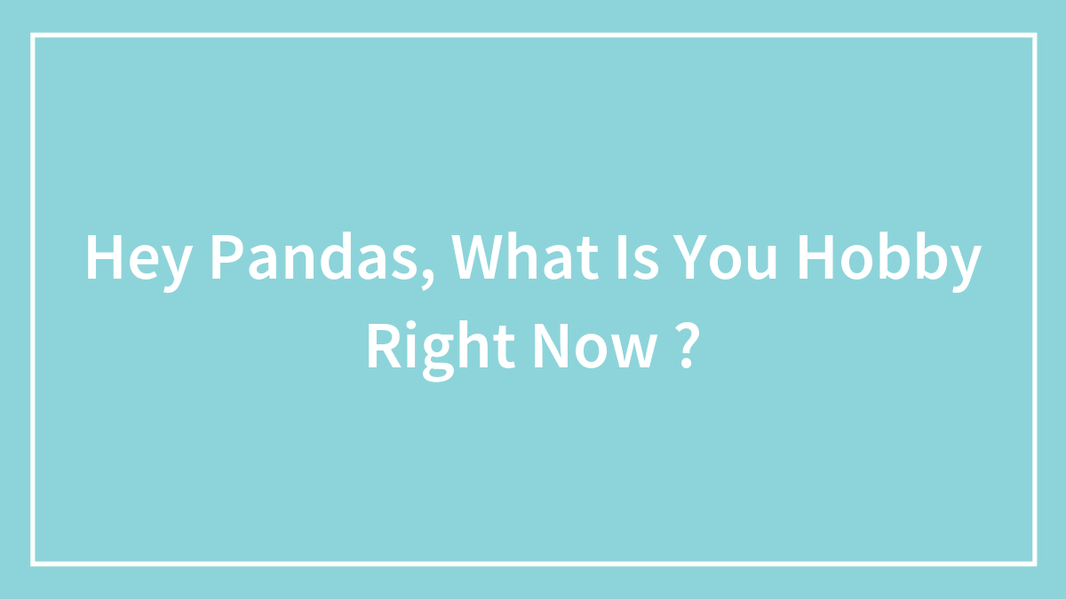 Hey Pandas, What Is You Hobby Right Now ?