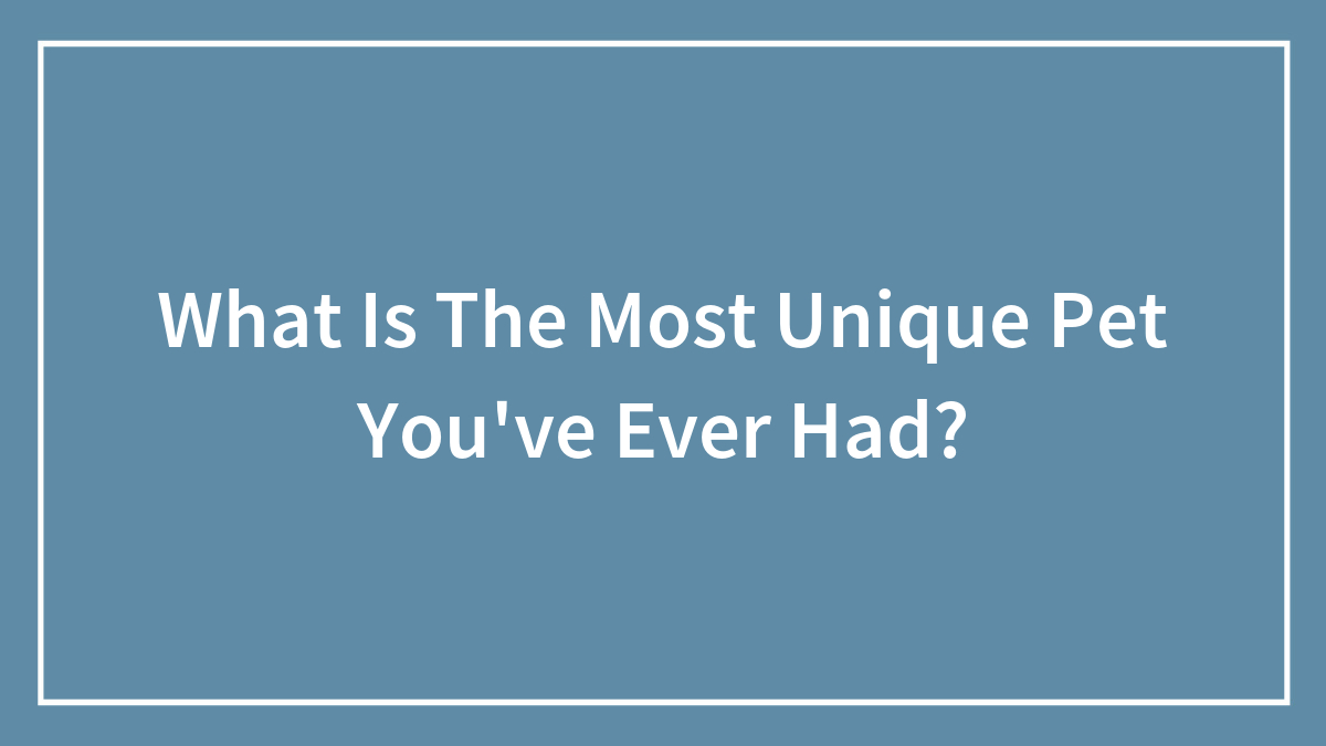 What Is The Most Unique Pet You’ve Ever Had?