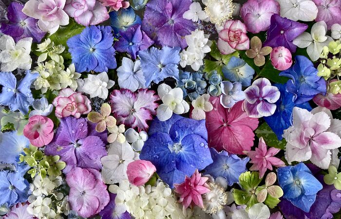 You’ll Find Me In The Garden (24 Pics)